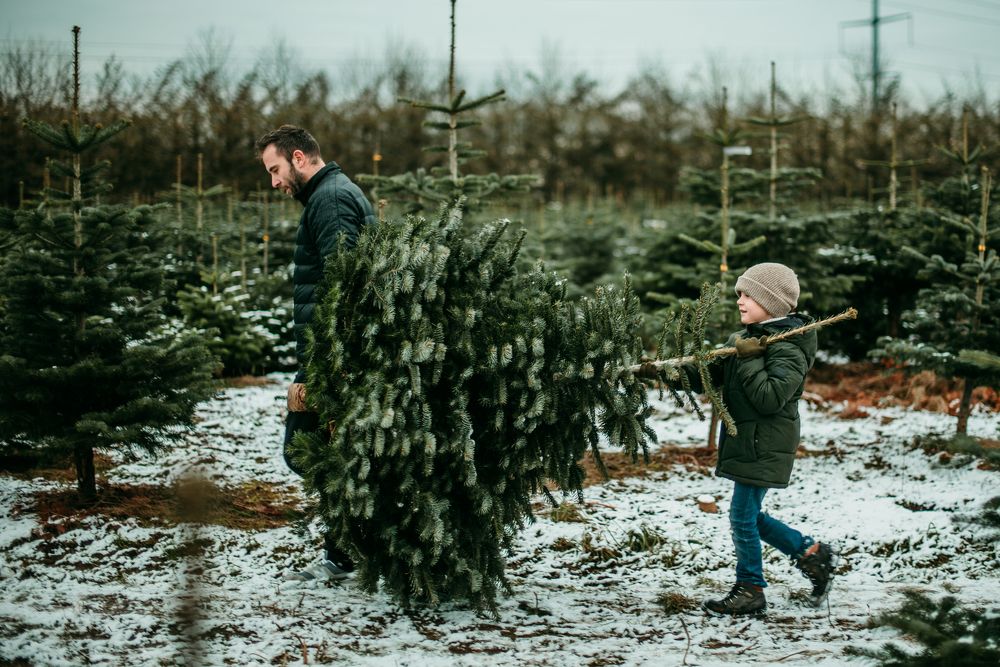 Photograph by Sandra Tines