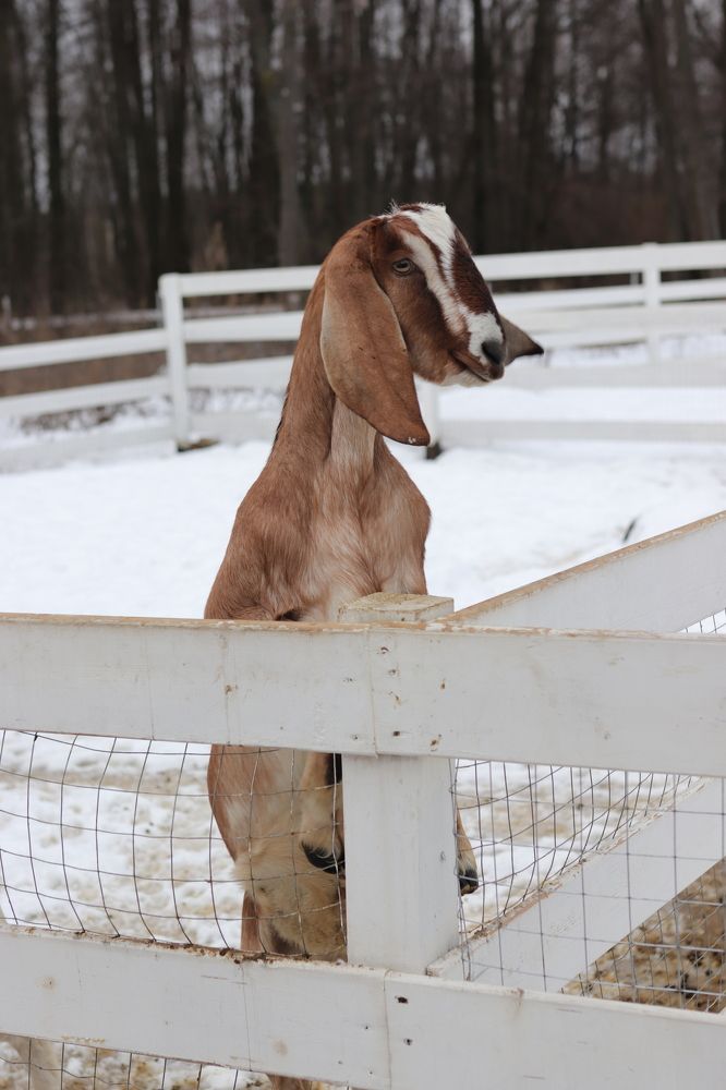 Photograph by Екатерина Самошкина