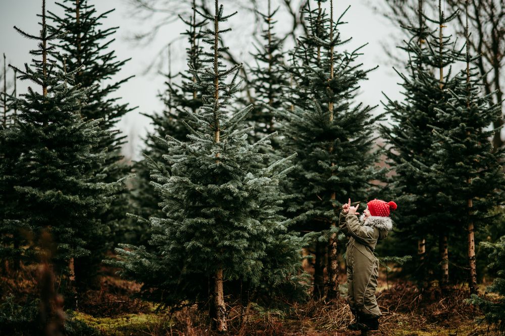 Photograph by Sandra Tines