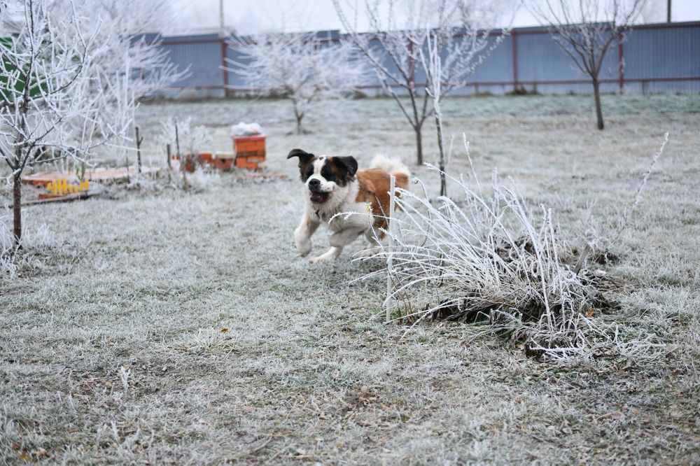 Photograph by Юлия Субботина