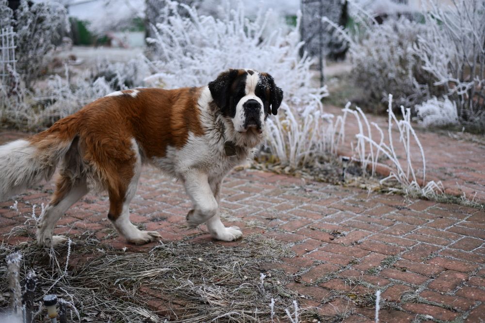 Photograph by Юлия Субботина