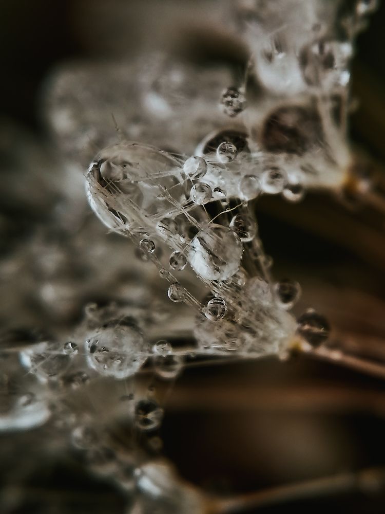 Photograph by Наталия