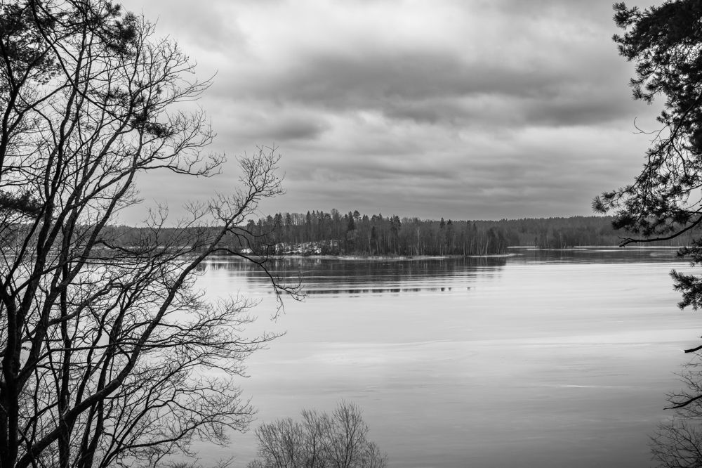 Фотография автора Алина Руденко