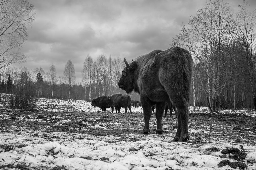 Фотография автора Алина Руденко