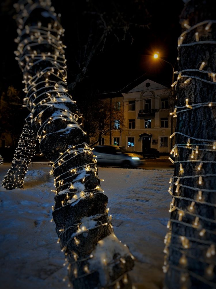 Photograph by Анастасия Мусихина