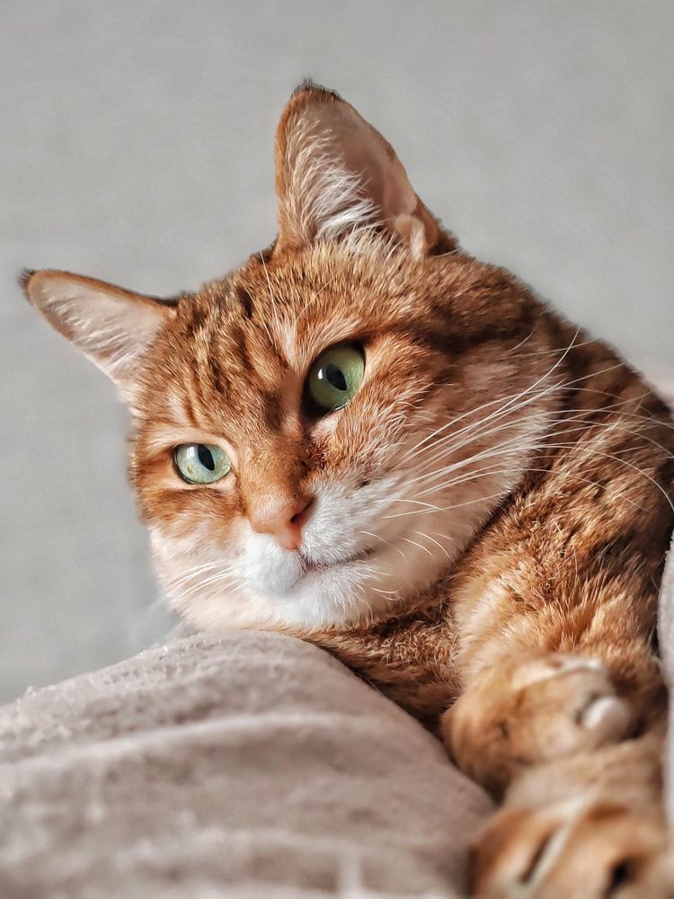 Photograph by Tatiana Shtun