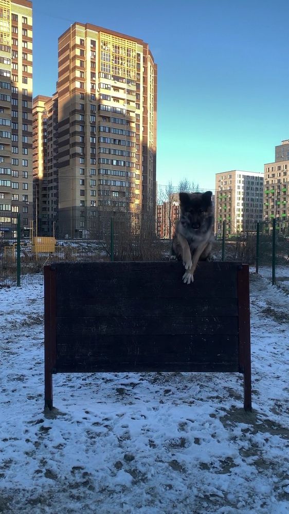 Photograph by Анастасия Мусихина