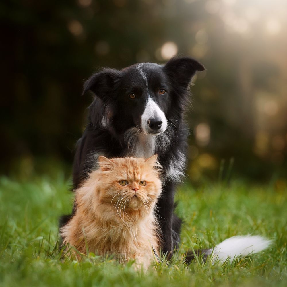 Photograph by Анна Титова