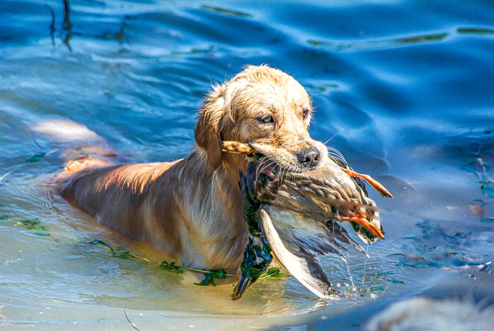 Photograph by Gennadiy Slezkin
