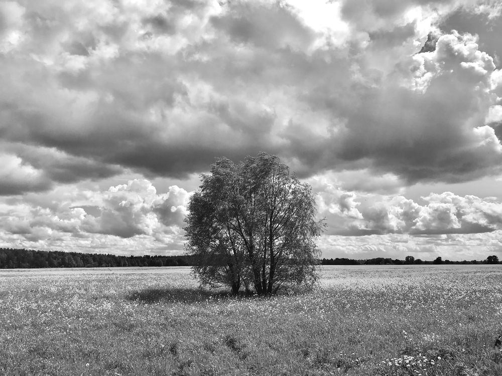 Photograph by Михаил Некрасов