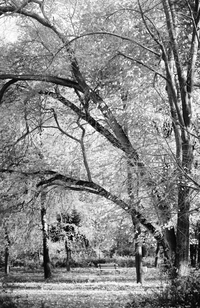 Photograph by Кристина Присакарь