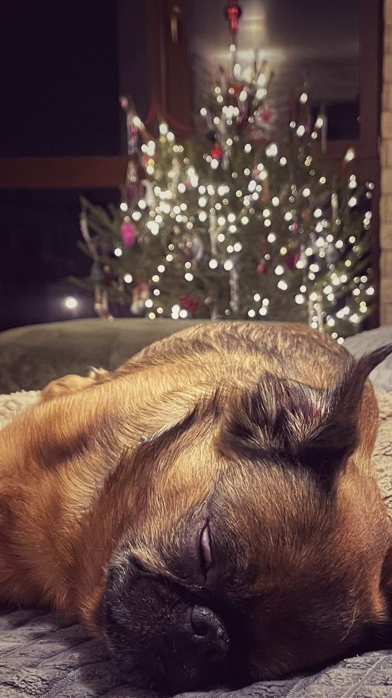 Photograph by Ольга Дорошенко