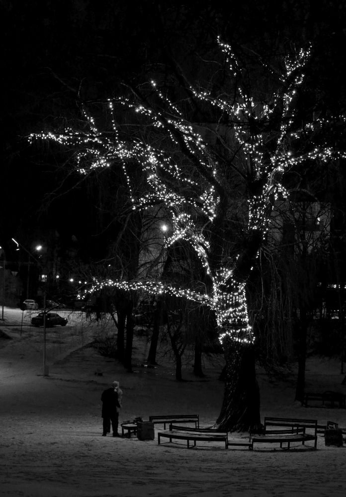 Photograph by Артем Великанов