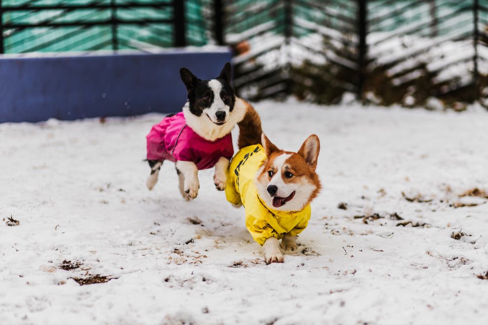 Photograph by Алексей Чеботарев