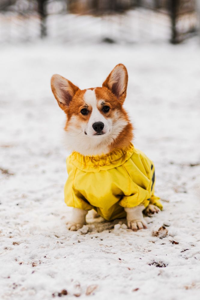 Photograph by Алексей Чеботарев