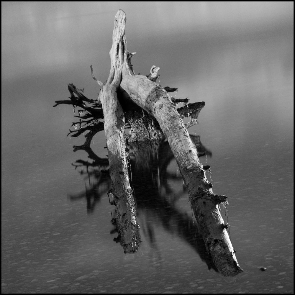 Photograph by Anton Krasnikov