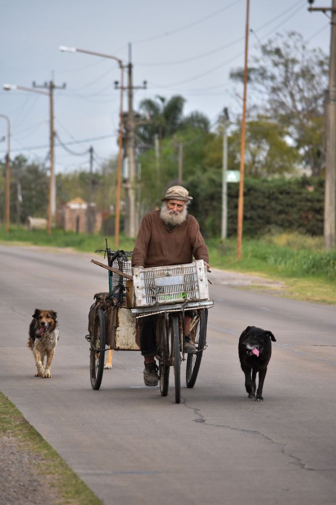 Фотография автора Silvana Blanc