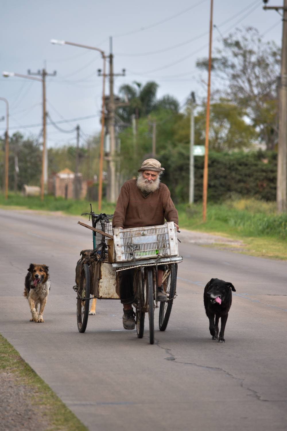 Фотография #11584419