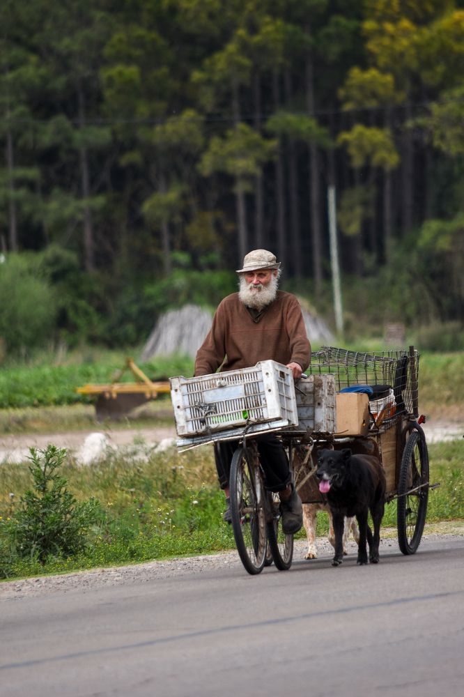 Фотография автора Silvana Blanc