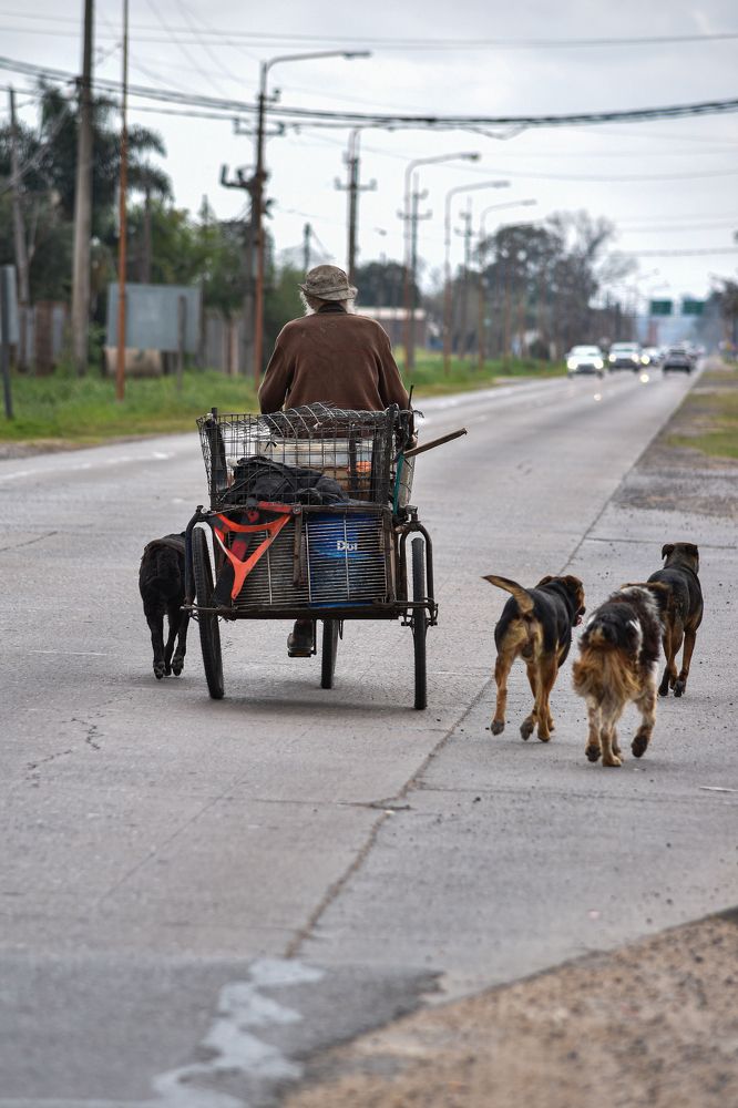 Фотография автора Silvana Blanc