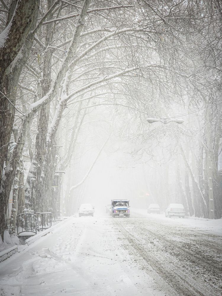 Photograph by Alireza Moghimi