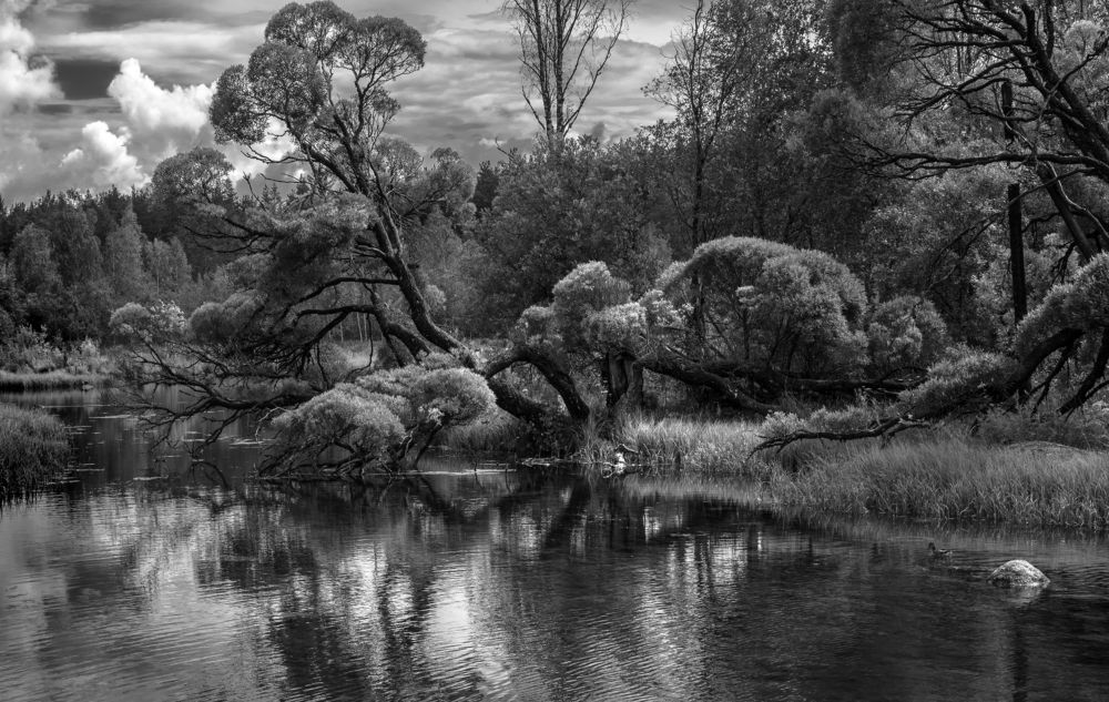 Photograph by Анна Стрелковская