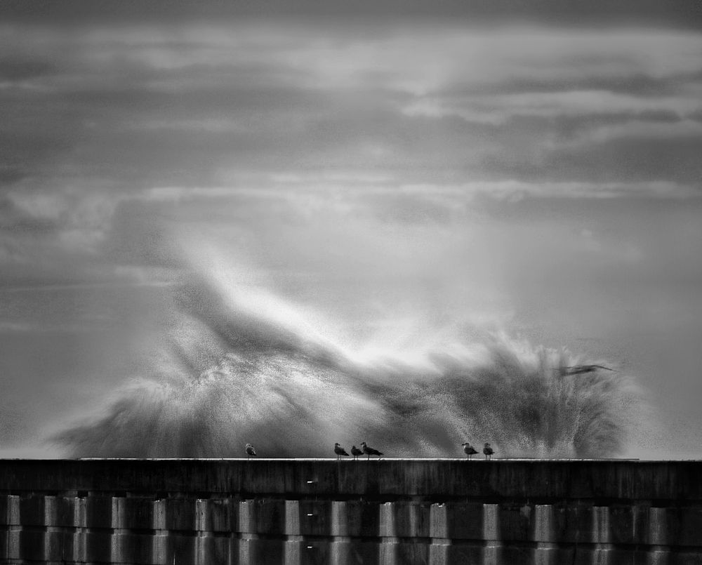 Фотография автора Nuno Pacheco