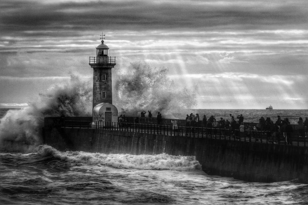 Фотография автора Nuno Pacheco