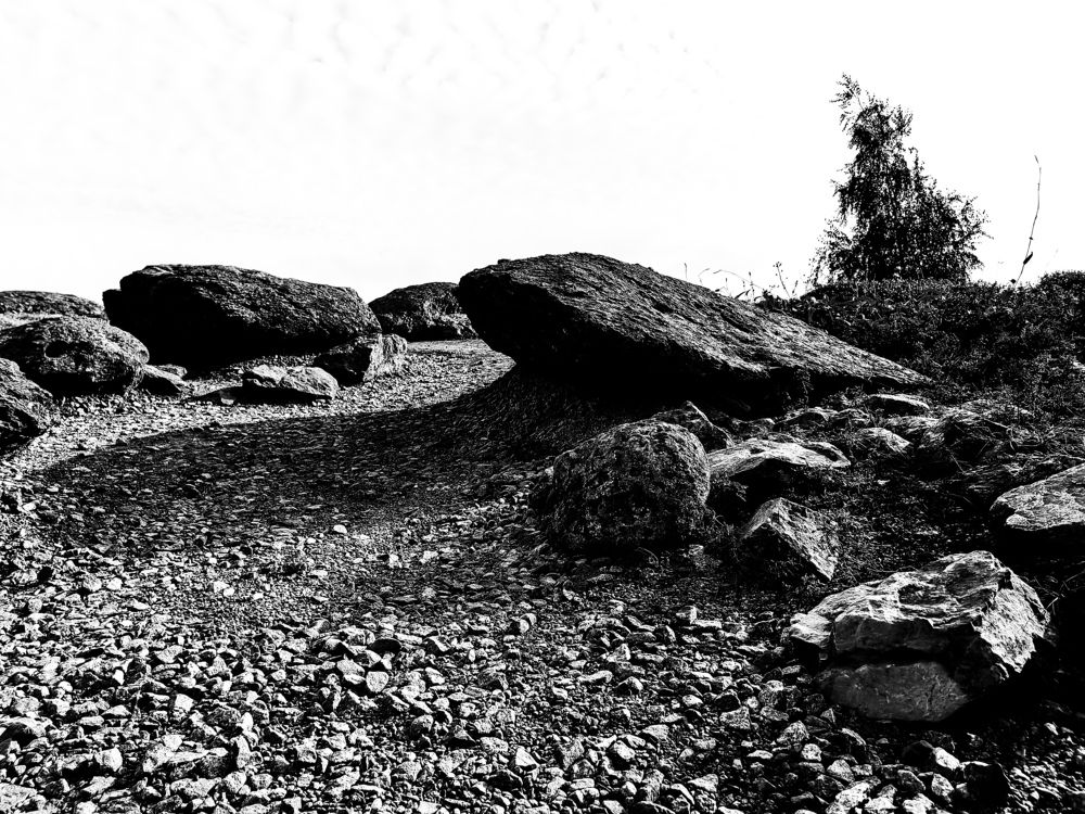 Фотография автора Olga Golubkova