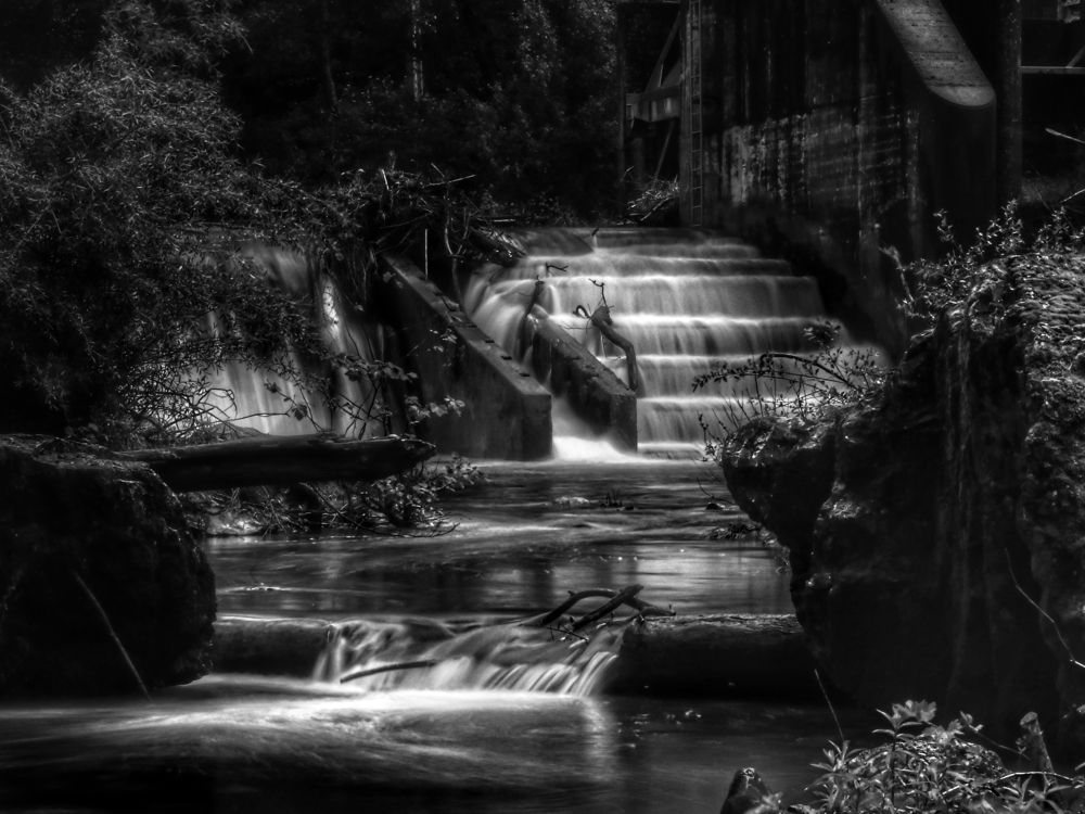 Фотография автора Nuno Pacheco