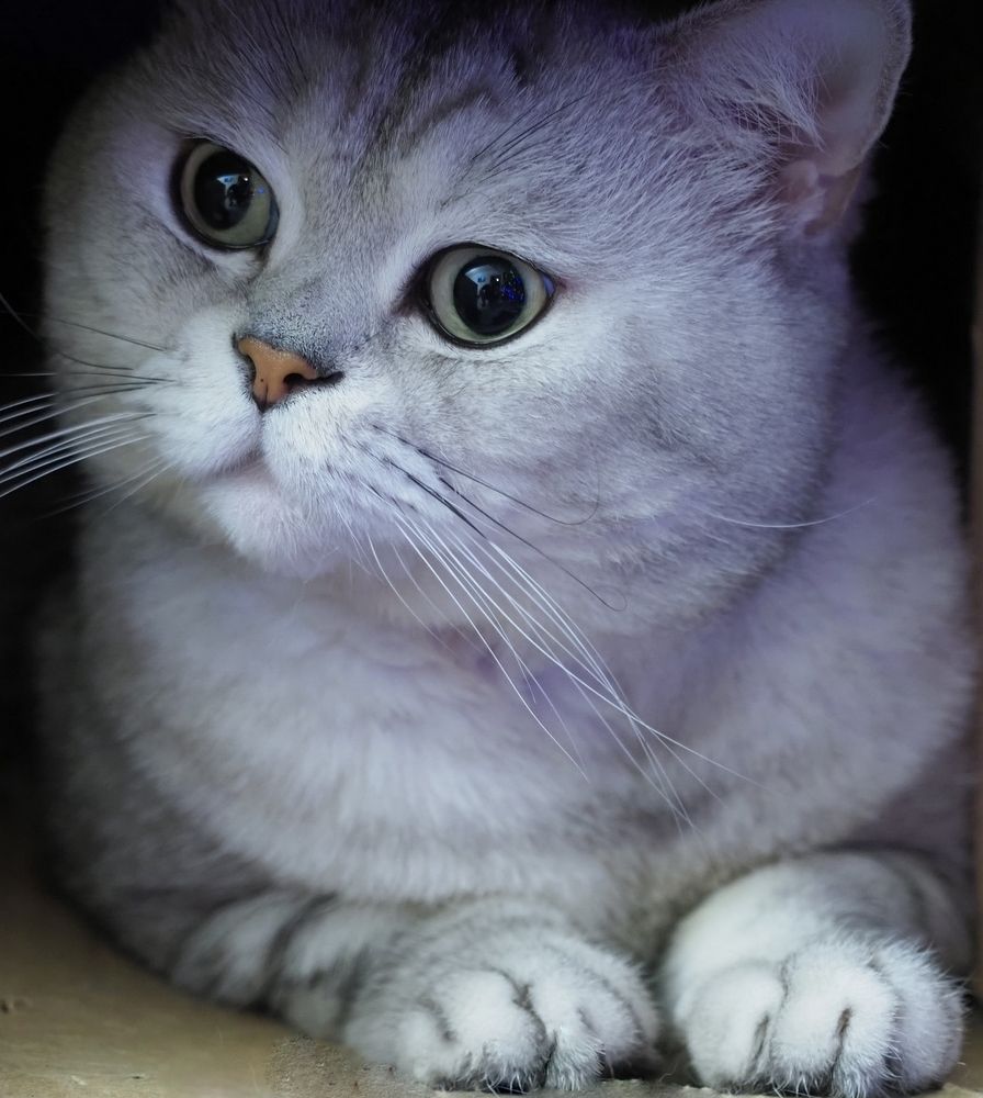 Не поддельный интерес!