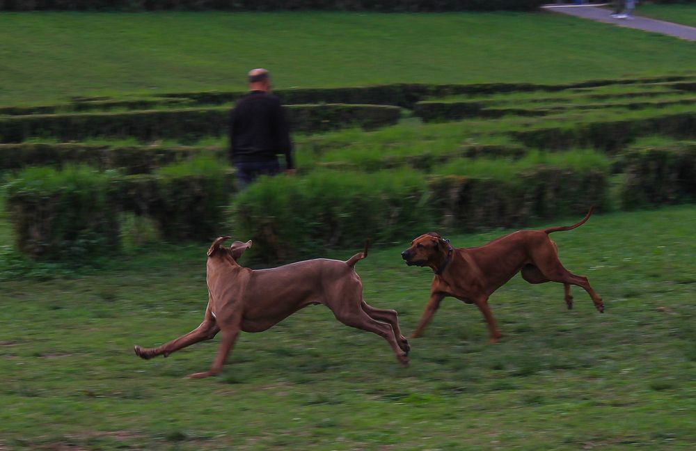 Photograph by Francisco Ferreira