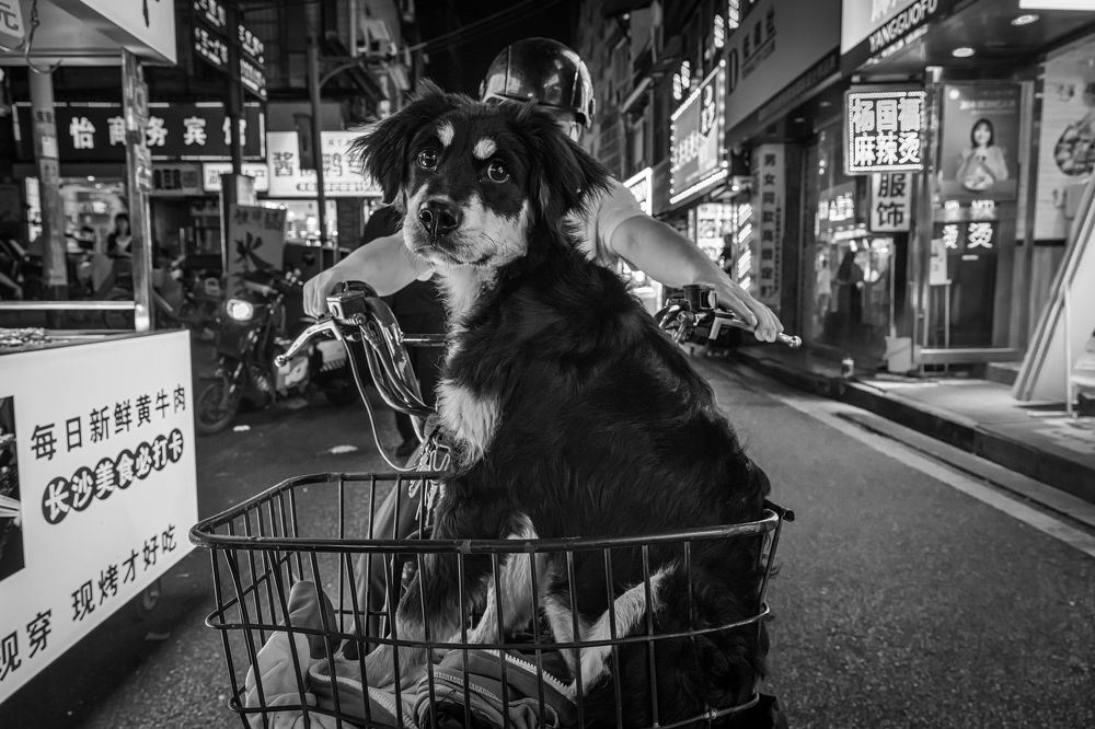 Photograph by Dimitri Bakhtadze