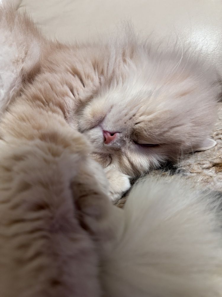 Photograph by Tanzilya Gabidullina