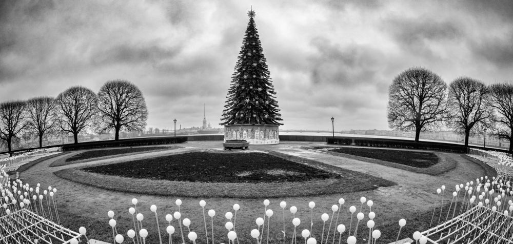 Photograph by Dimitri Bakhtadze