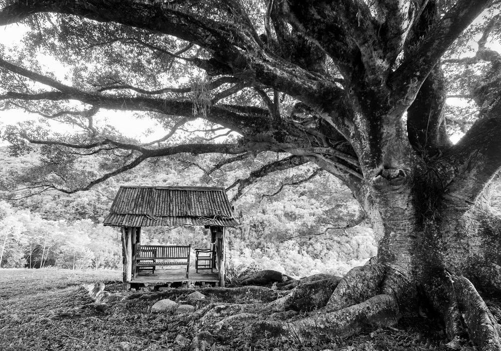 Photograph by Valdir Hobus