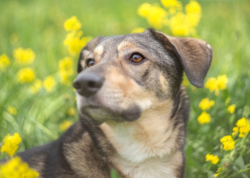 Photograph by Елена Хорохорина