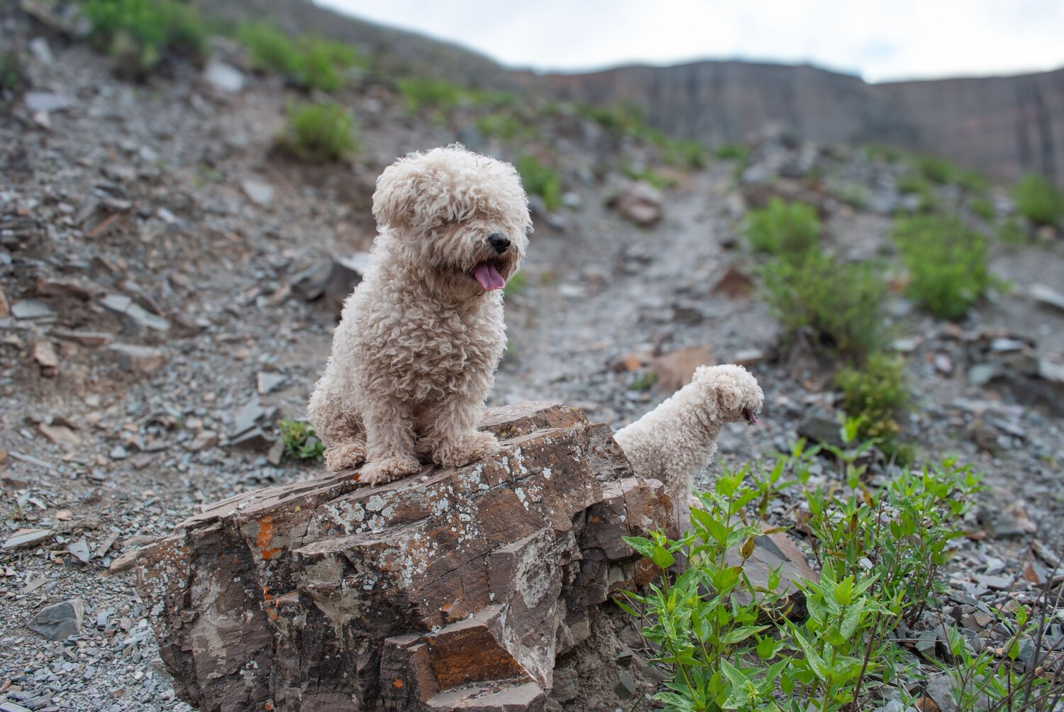 de paseo.