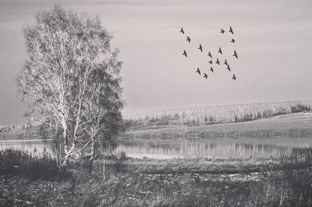 Photograph by Никита Максимов