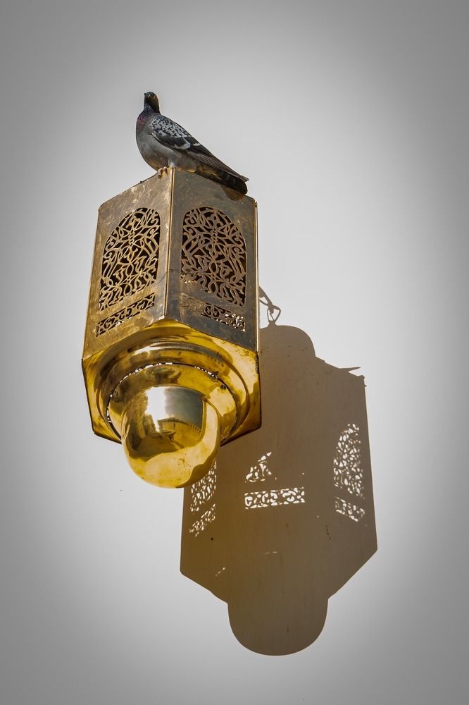 Photograph by Heba Ahmed