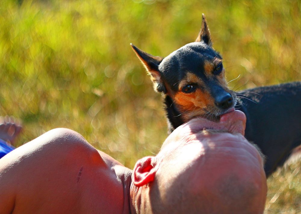 Photograph by Леонид Уральский