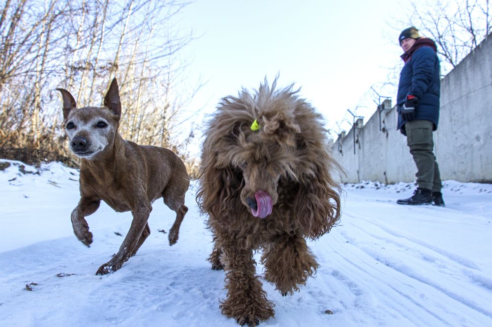 Photograph by Sergey Tsubanov
