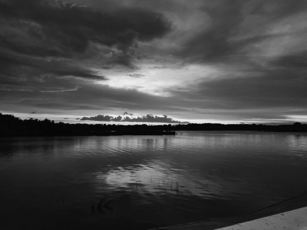 Photograph by Светлана Введенская