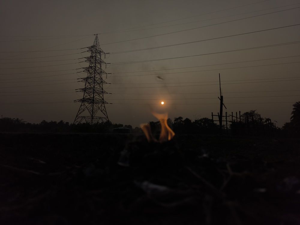 Photo #11584774