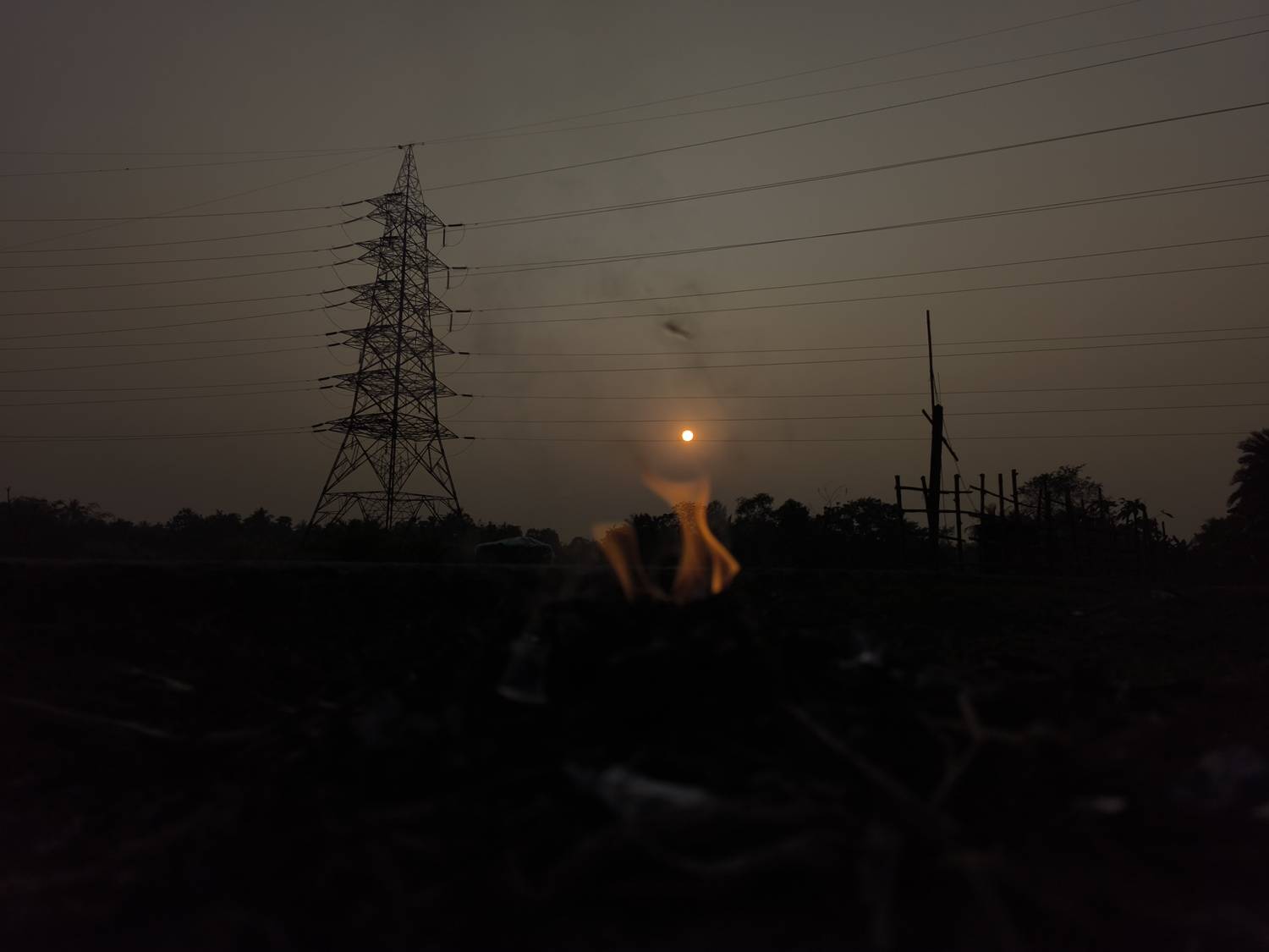 Photo #11584774