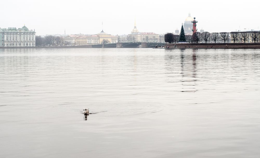 Photograph by Брусенцев Олег