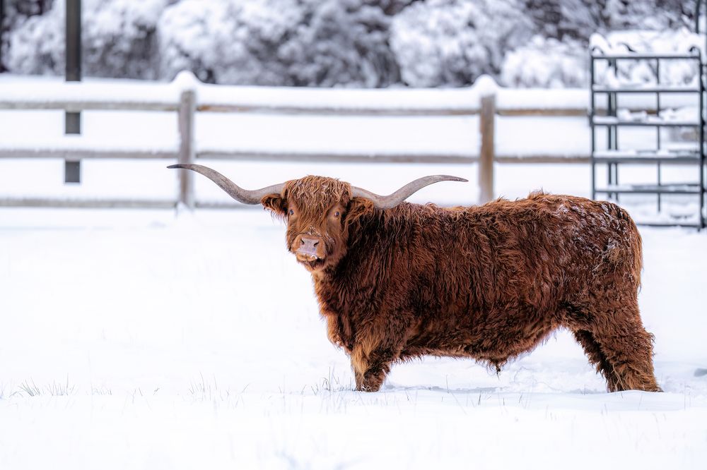 Photograph by Hector Knudsen