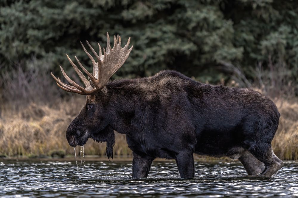 Photograph by Hector Knudsen