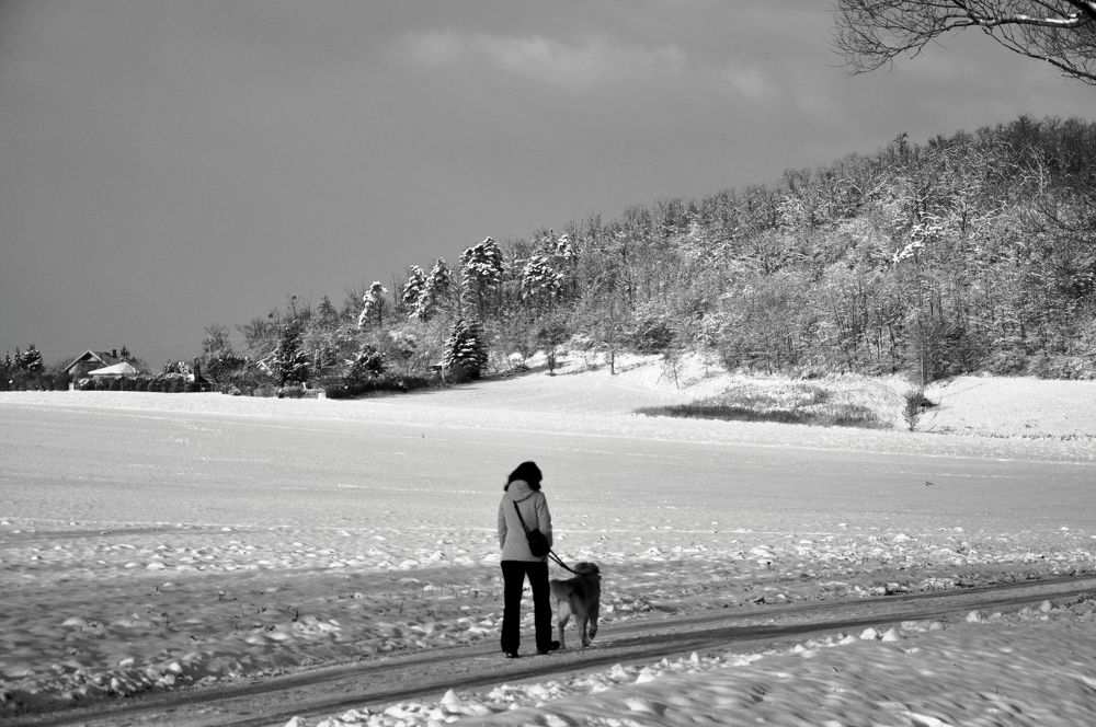 Photograph by Галина Лысых