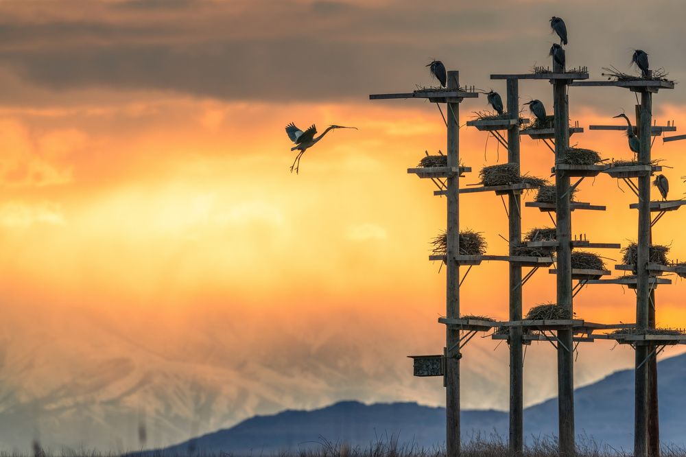 Photograph by Hector Knudsen